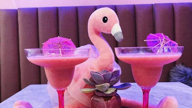 Flamingo Caffe