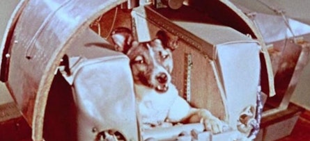 A 65 años de Laika y su viaje sin retorno, el primer ser vivo que salió del planeta