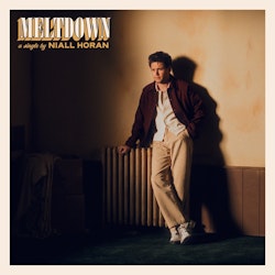 Niall Horan lanza su nuevo sencillo: "Meltdown"