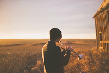 La naturaleza sonora de las emociones