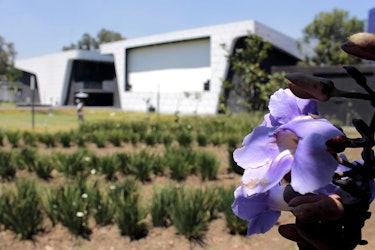 Con la nueva sede, Cineteca Nacional abrió otras ventanas para el cine de autor