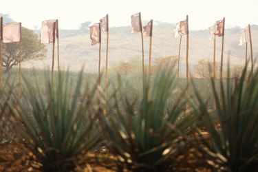 Akamba: naturaleza, música y consciencia ambiental