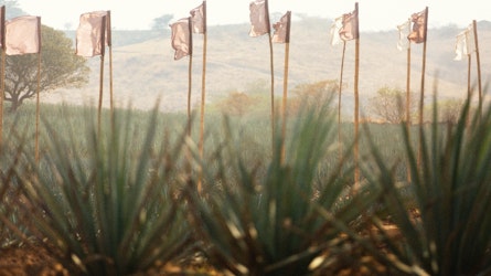Akamba: naturaleza, música y consciencia ambiental