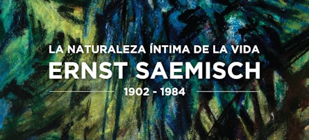 El Colegio de San Ildefonso presenta la exposición "La naturaleza íntima de la vida" del pintor alemán Ernst Saemisch