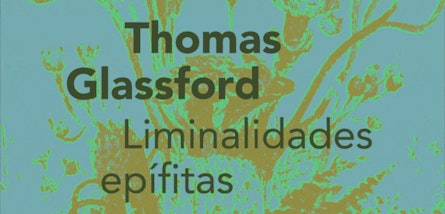 El Museo Kaluz presenta "Liminalidades epífitas", una instalación monumental de Thomas Glassford