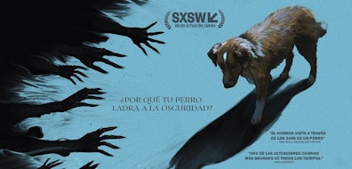 El fenómeno de terror “Good Boy: Confía en su Instinto” ya tiene fecha de estreno en México