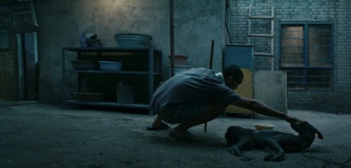 Estreno en cines selectos este 19 de septiembre: "Black Dog", la multipremiada película de Guan Hu