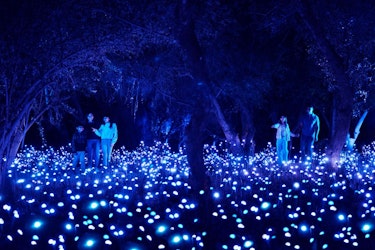 "Light Cycles", la experiencia multisensorial creada por Moment Factory, llega a la Ciudad de México