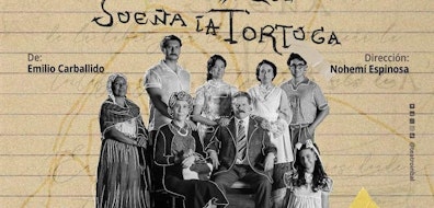 "La danza que sueña la tortuga": un universo doméstico que respira poesía