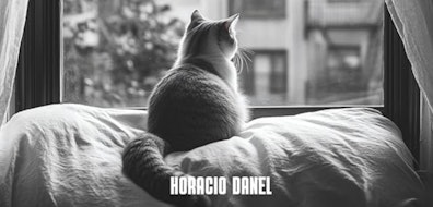 Cuando la memoria se convierte en un misterio: "La noche que Annelies desapareció" de Horacio Danel