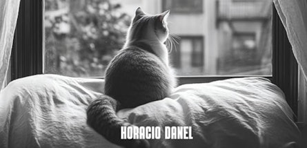 Cuando la memoria se convierte en un misterio: "La noche que Annelies desapareció" de Horacio Danel