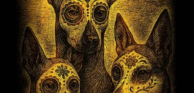 “¡Qué desastre de función!”, la legendaria comedia británica de Michael Frayn, llega a México