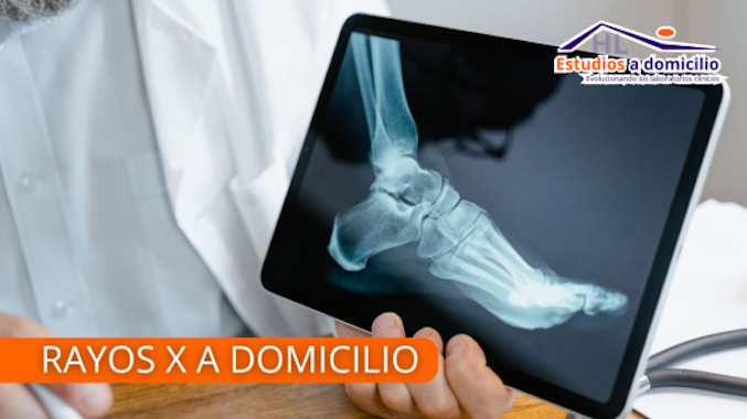 HL Estudios a Domicilio