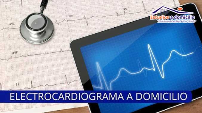 HL Estudios a Domicilio