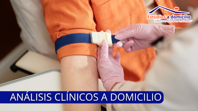 HL Estudios a Domicilio