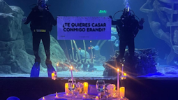 SEA LAND, Acuarioventura León