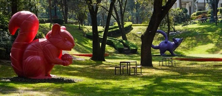 Jardín Hondonada: un nuevo espacio en el Complejo Cultural Los Pinos para explorar la relación entre arte y biodiversidad