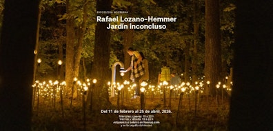 El Museo de Arte Moderno presenta “Rafael Lozano-Hemmer: Jardín Inconcluso”, exposición nocturna del artista mexicano-canadiense