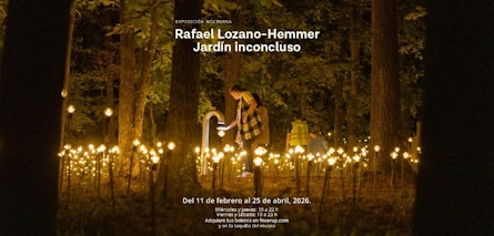 El Museo de Arte Moderno presenta “Rafael Lozano-Hemmer: Jardín Inconcluso”, exposición nocturna del artista mexicano-canadiense