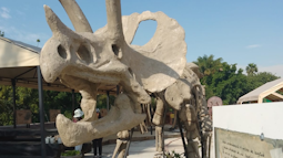 ZOOAVENTURAS San Juan de Aragón