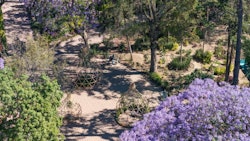 FYJA presenta su edición "México"