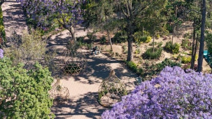 FYJA presenta su edición "México"