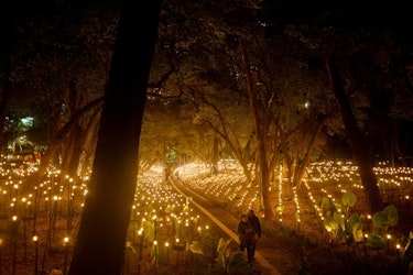 Rafael Lozano-Hemmer transforma el Museo de Arte Moderno con "Jardín inconcluso"