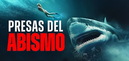 El ganador del Oscar Richard Dreyfuss vuelve al cine de tiburones con "Presas del abismo"