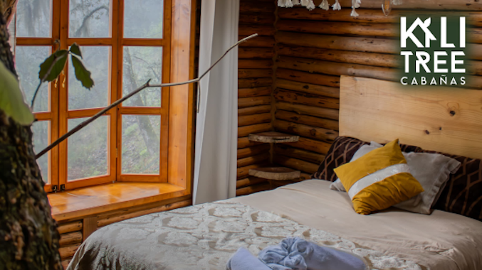KALI TREE CABAÑAS