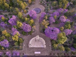 FYJA presenta Inmersiones FYJA 2026. Miradas del jardín mexicano: casa, ciudad y territorio