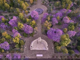 FYJA presenta Inmersiones FYJA 2026. Miradas del jardín mexicano: casa, ciudad y territorio