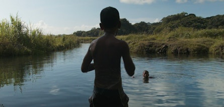 "Agridulce", el documental de Frank Pavich, estrena en el FICG en la sección Son de Cine In-Edit