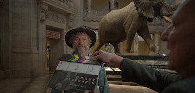 "Elefantes Fantasma", de Werner Herzog, en busca del mamífero más grande del planeta