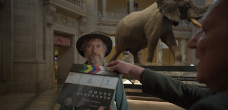 "Elefantes Fantasma", de Werner Herzog, en busca del mamífero más grande del planeta