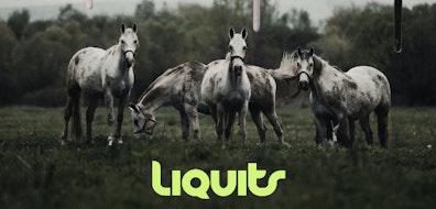 Liquits está de regreso con nueva música y presenta “Since That Day”