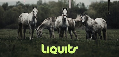 Liquits está de regreso con nueva música y presenta “Since That Day”