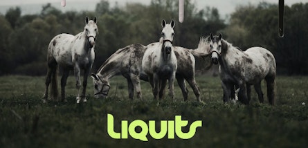 Liquits está de regreso con nueva música y presenta “Since That Day”