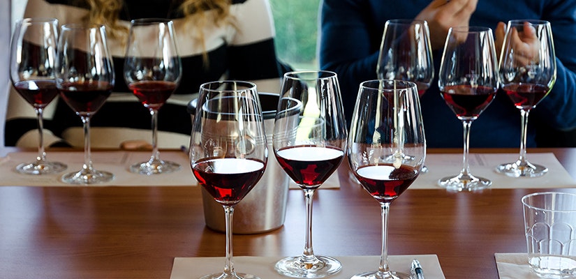 Cata de vinos