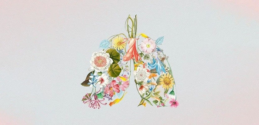 Sesión de Bar de oxígeno