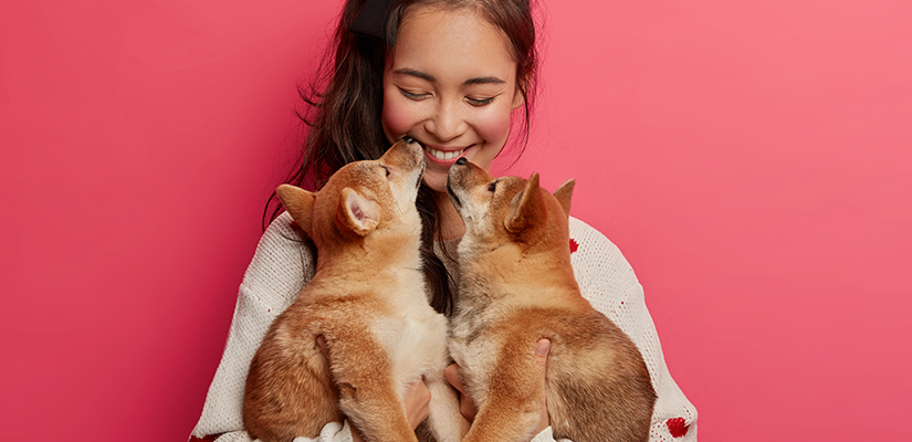 ¡Consiente a tu mascota!