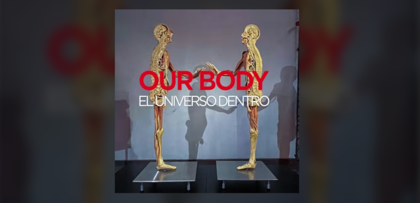 Our Body: El Universo dentro - La experiencia