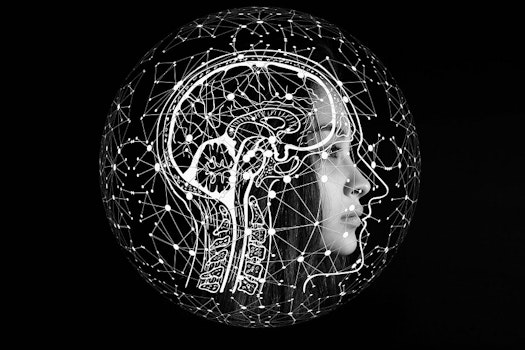 ¿Qué son los Neuroderechos?