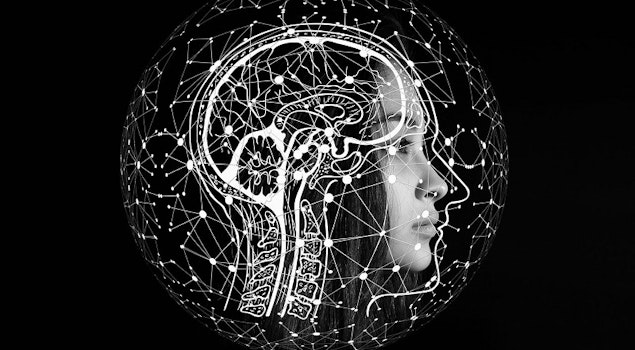 ¿Qué son los Neuroderechos?