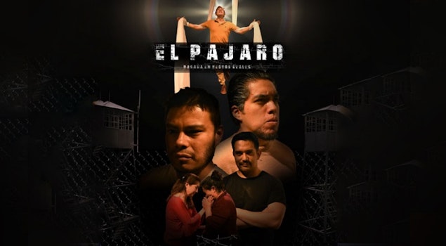 “El Pájaro”: Historia llena ilusiones y desesperanzas