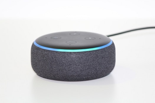 Conoce a Ziggy, el nuevo compañero de Alexa