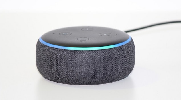 Conoce a Ziggy, el nuevo compañero de Alexa