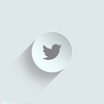 Adiós a los “Fleets” de Twitter