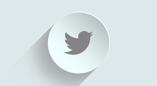 Adiós a los “Fleets” de Twitter