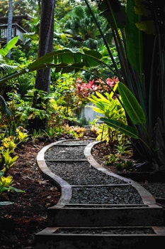 Arma tu propio jardín sostenible, entre belleza y una ayuda al planeta