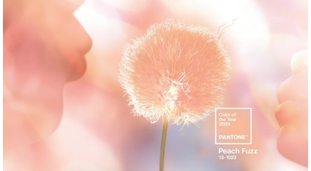 Color Pantone 2024: Peach Fuzz